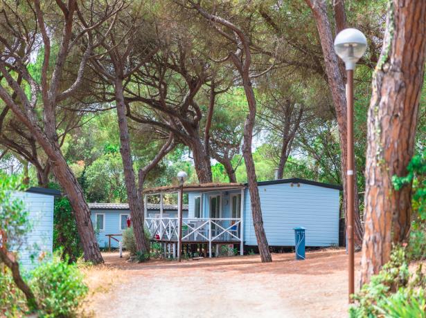 campingetruria nl zomer-aanbieding-vakantie-zee-toscane-camping-village 022